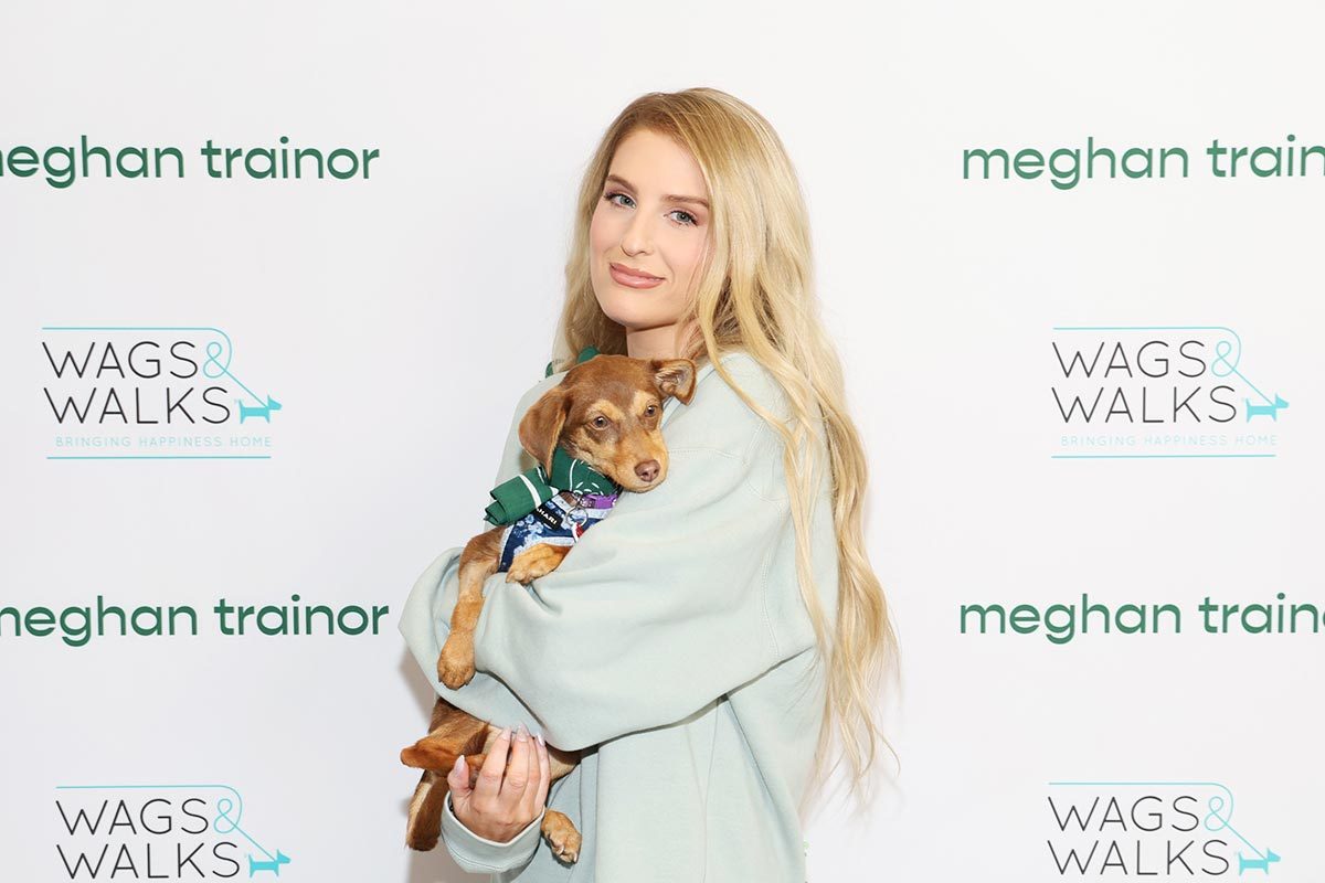 Meghan Trainor & Freshpet At Wags & Walks Rescue In LA Announce