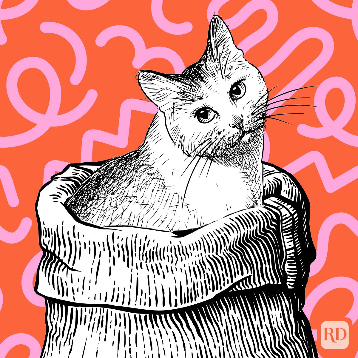The True Origin of “Let the Cat Out of the Bag”