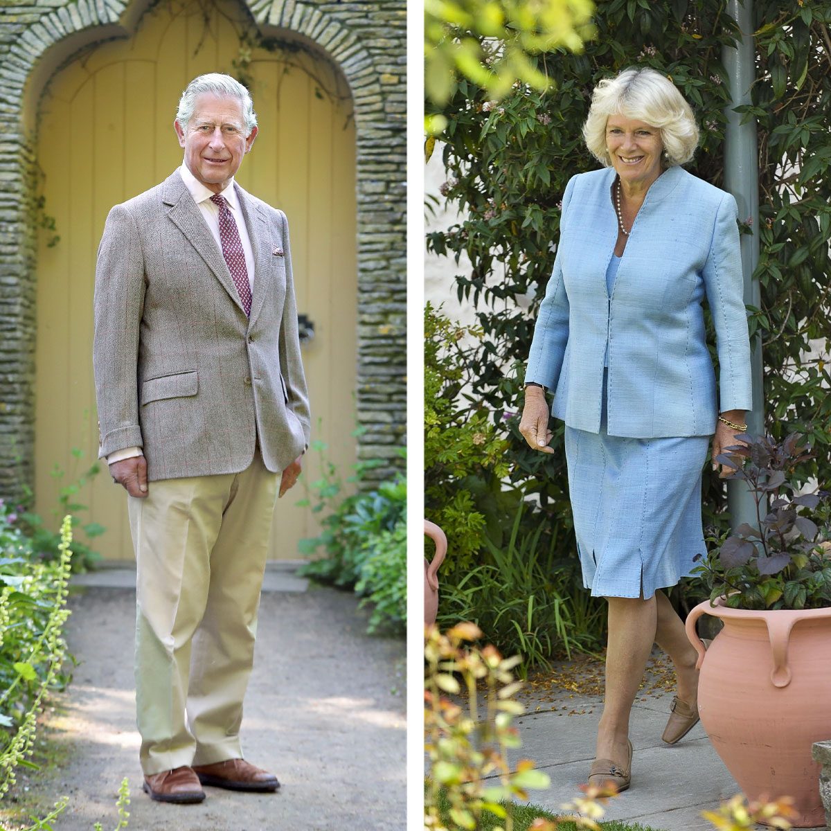 Side by side king charles (Ledt) and Camillia (Right)